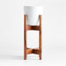 Willis Plant Stand Tall