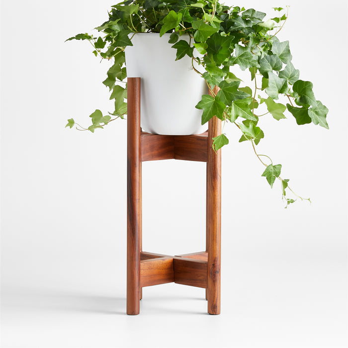 Willis Plant Stand Tall