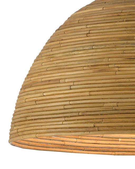 Plantsman Pendant Light