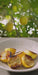 Carmel 3-Part Ceramic Dip Bowl & Tray by Gaby Dalkin