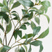 Faux Almond Stem