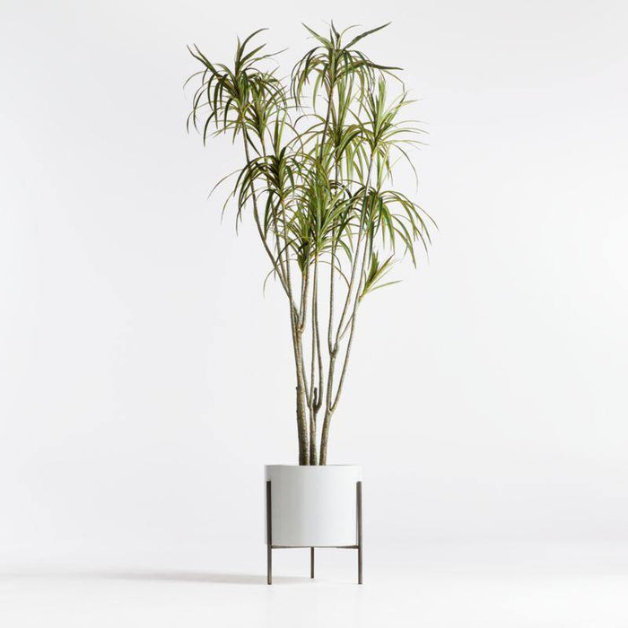 Dundee White Round Indoor/Outdoor Planter - Crate and Barrel Philippines