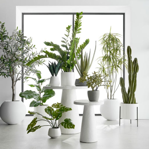 Faux Potted Jade Plant