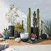 Saabira Fiberstone 15.5" Tall Indoor/Outdoor Planter