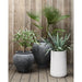 Saabira Taupe 23.25" Tall Indoor/Outdoor Planter