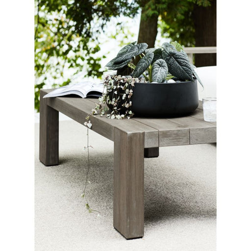 Saabira Black Indoor/Outdoor Tabletop Planter