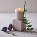Monochrome No. 12 Amethyst 3-Wick Candle - Black Plum, Lavender and Eucalyptus