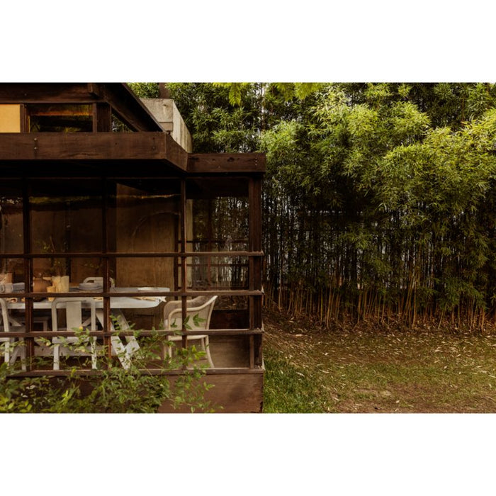 Fields Whitewash Wood and Cane Dining Arm Chair by Leanne Ford