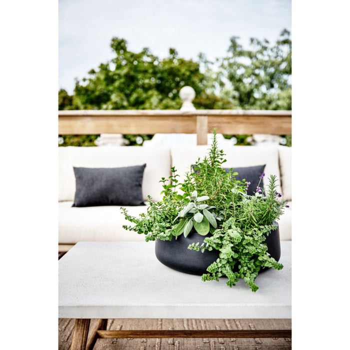 Saabira Black Indoor/Outdoor Tabletop Planter
