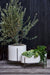 Dundee White Oval Indoor/Outdoor Planter with Stand 28"