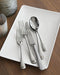Caesna Mirror Serving Spoon