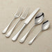 Caesna Mirror Serving Spoon
