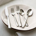 Marin Mirror 5-Piece Flatware Place Setting