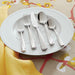 Marin Mirror 5-Piece Flatware Place Setting