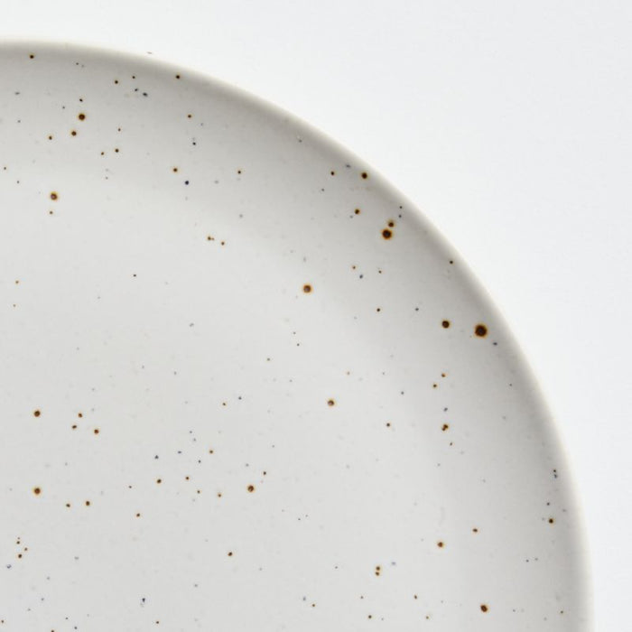 Craft Speckled White Dinner Plate