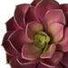 Faux Echeveria Burgundy Succulent Stem