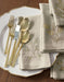 Ellenore Gold 5-Piece Flatware Place Setting