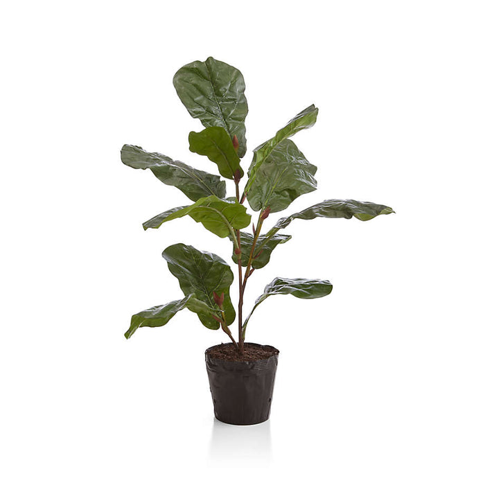 Faux 3.5' Fiddle Leaf Fig Tree