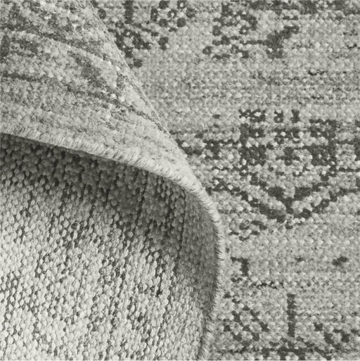 Firenze Vintage Dark Grey Area Rug 10'x14'