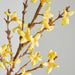 Faux Forsythia Flower Stem