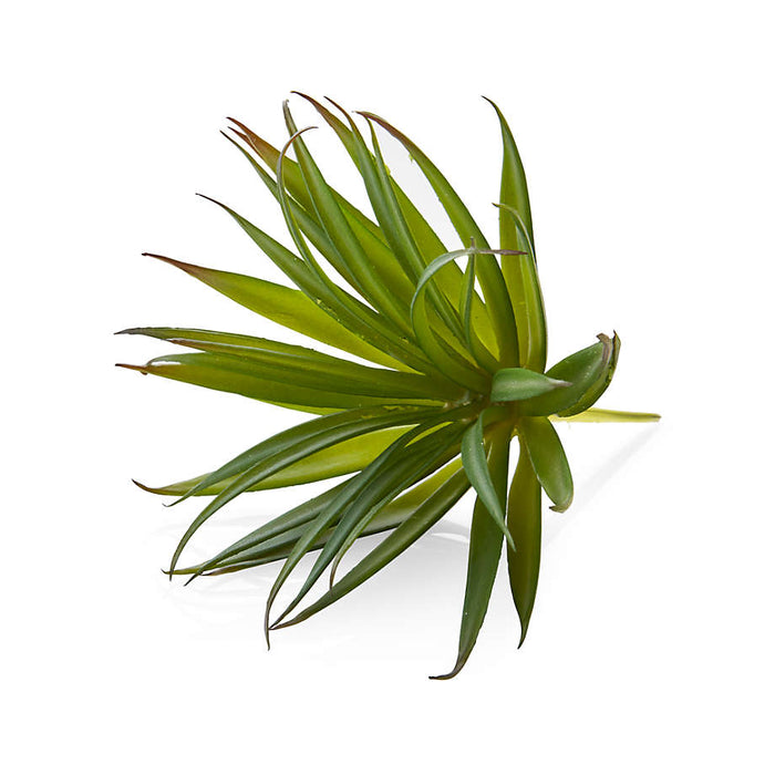 Faux Green Yucca Succulent Stem