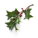 Faux Holly Berry Stem