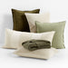 Moss 20"x20" Washed Organic Cotton Velvet Throw Pillow Cover