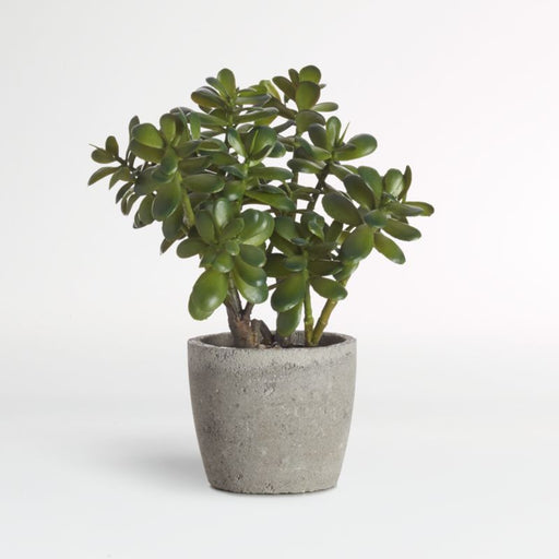 Faux Potted Jade Plant