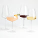 Mera 10-Oz. Coupe Glass