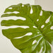 Artificial Monstera Leaf