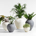 Ophelia Black Medium Planter