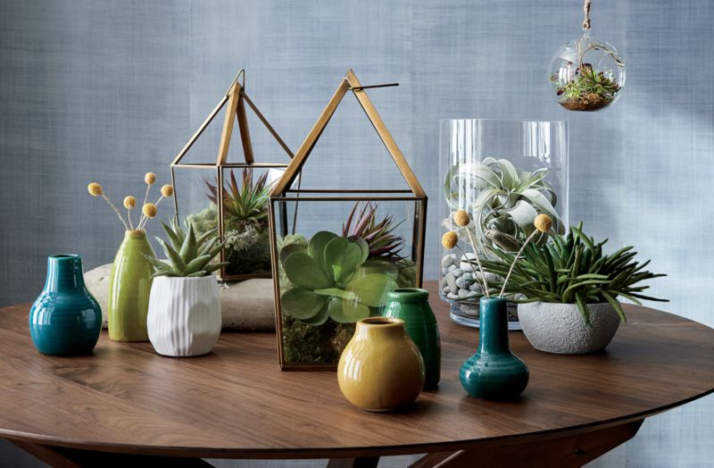 Craspedia Bunch Dried Botanicals