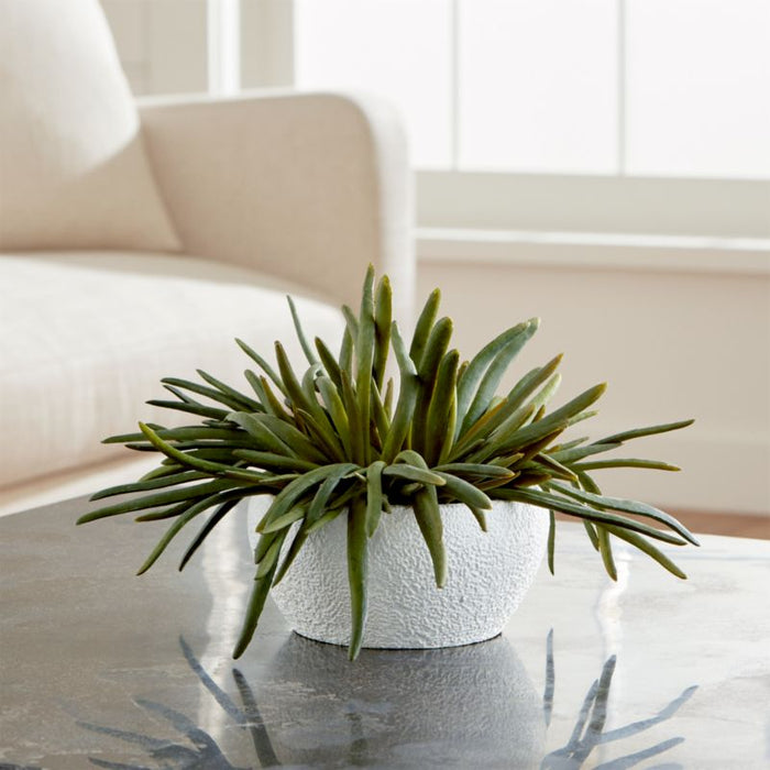 Faux Pencil Succulent