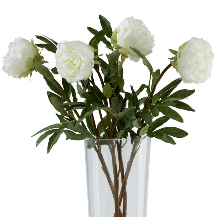 Artificial White Peony Flower Stem