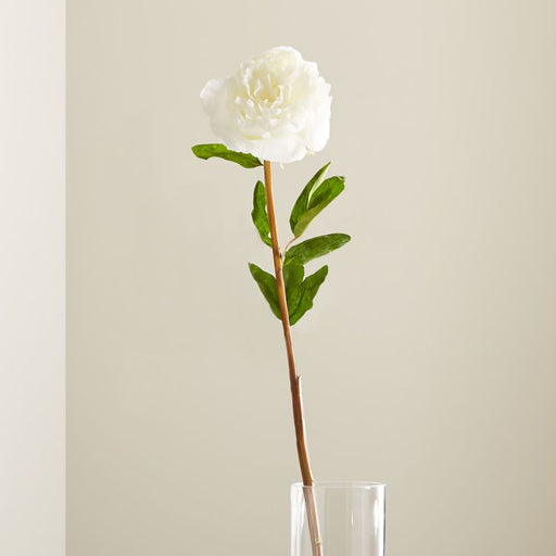 Artificial White Peony Flower Stem