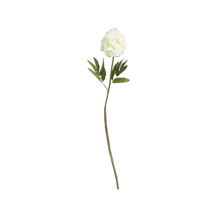Artificial White Peony Flower Stem