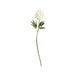 Artificial White Peony Flower Stem