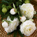 Artificial White Peony Flower Stem