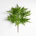Faux Plumosa Fern Leaf Stem