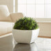 Artificial Potted Moss