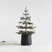 Faux Pine Pre-Lit LED Christmas Tree with White Lights 4'