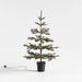 Faux Pine Pre-Lit LED Christmas Tree with White Lights 4'
