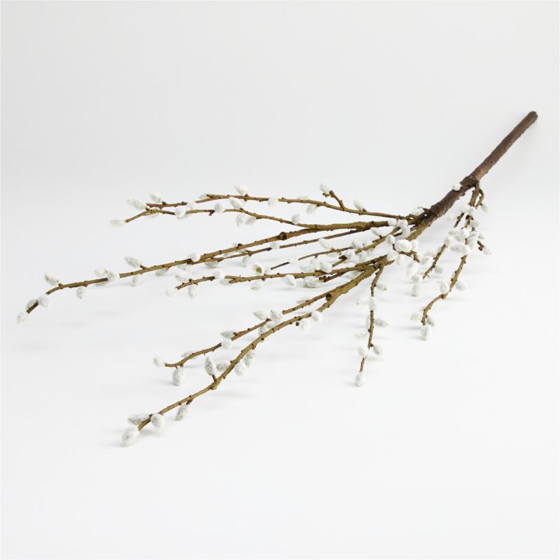 Botanical Stems