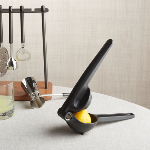 Rabbit ® Citrus Juicer - Crate and Barrel Philippines