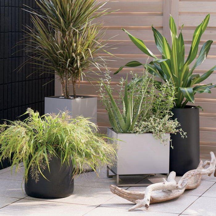 Saabira Fiberstone 15.5" Tall Indoor/Outdoor Planter - Crate and Barrel Philippines