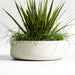 Saabira Tabletop Planter Taupe