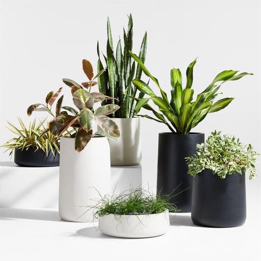 Saabira Tabletop Planter Taupe