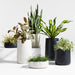 Saabira Tabletop Planter Taupe