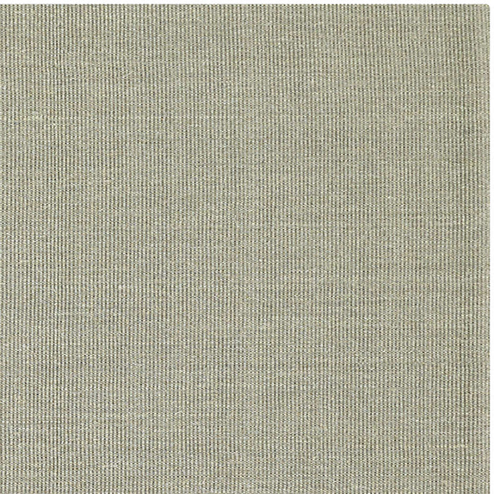 Sisal Dove Grey 2'x3' Rug