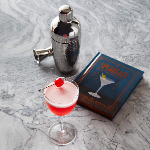 Easton Stainless Cocktail Shaker